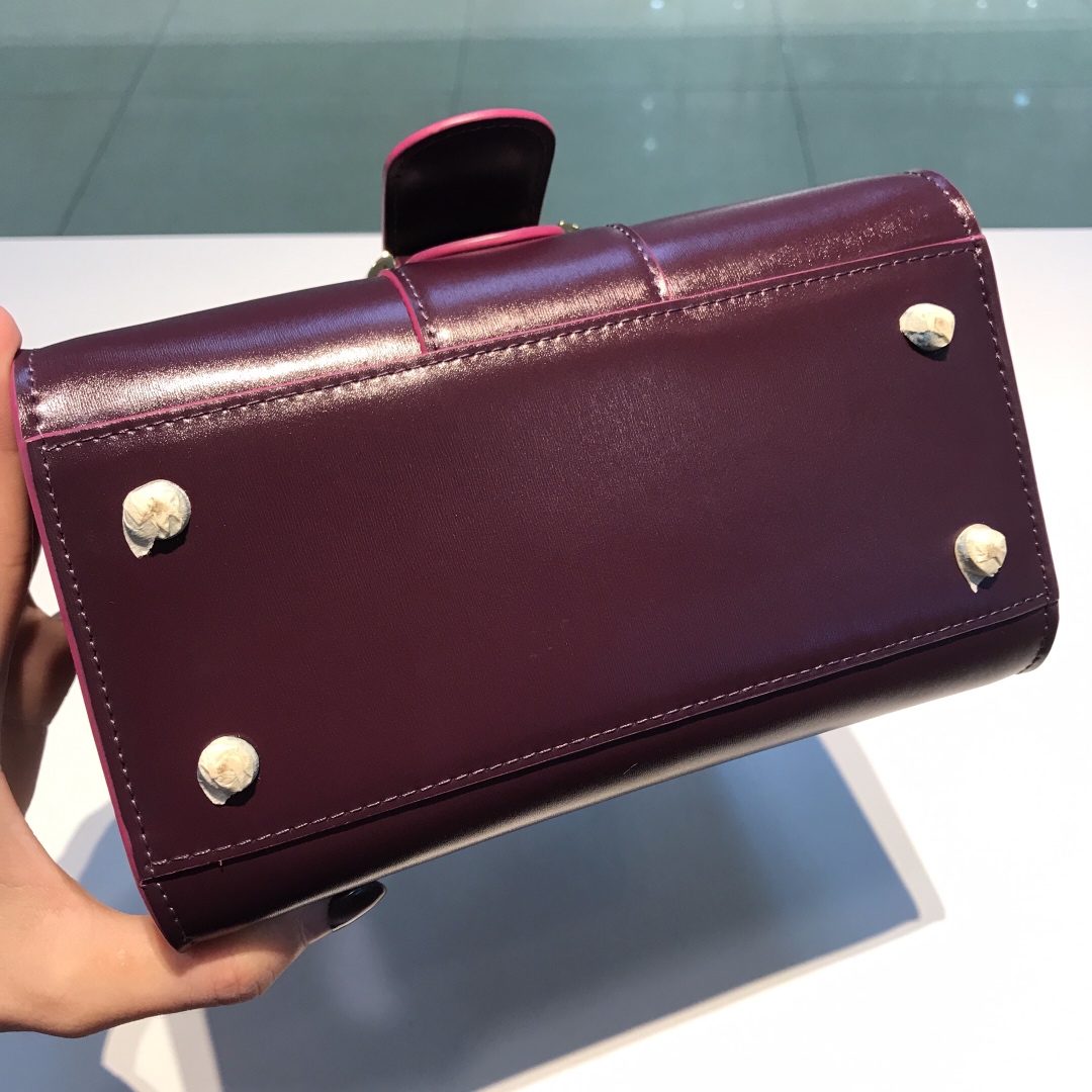 델보 브리앙 박스백 미니